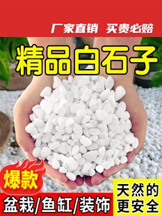 Small White Stone White Stone Pebbles Rainflower Stone Flower Pot Potted Fish Tank Bottom Sand and Stone Landscape Fleshy Paving Stone