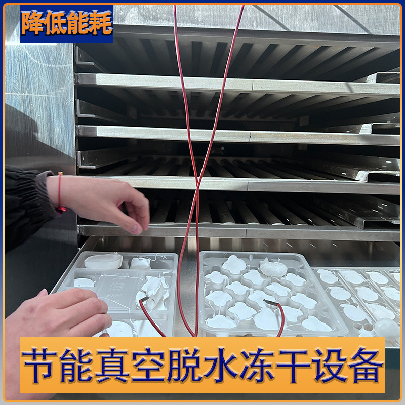 可试机小平方蓝莓冻干机果蔬 真空冻干设备 多用途真空冷冻干燥机|undefined