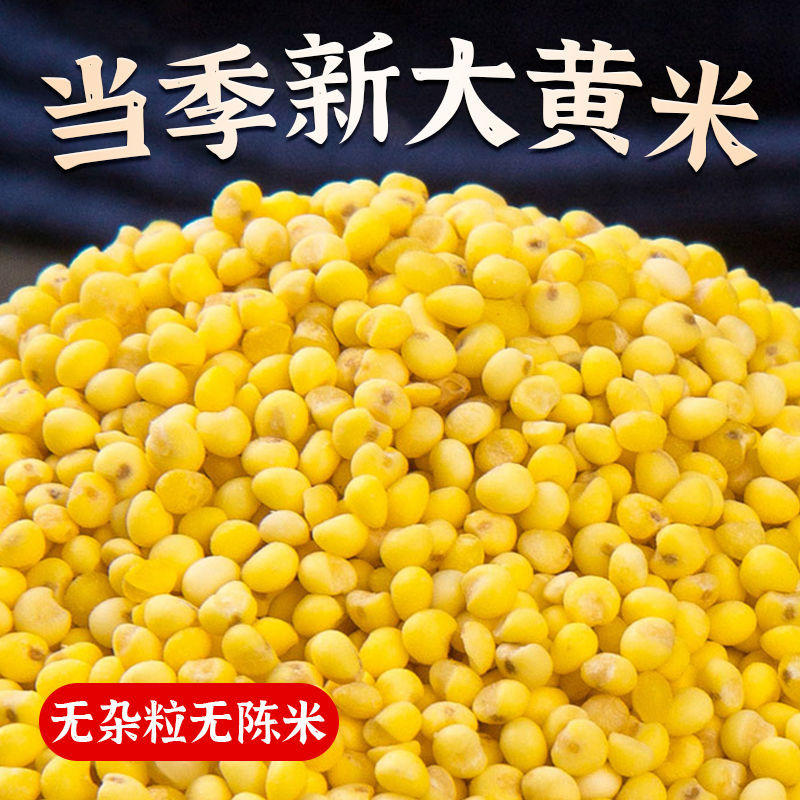 大黄米山西新大黄米5斤粘糯米包粽子煮粥黄米饭糜子年糕黏米30g