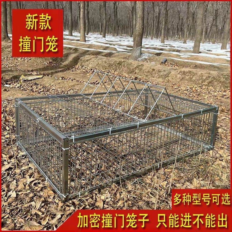 新款加密只进不出鸽子笼天落笼户外撞门笼全自动收鸽笼捕鸽子神器|undefined