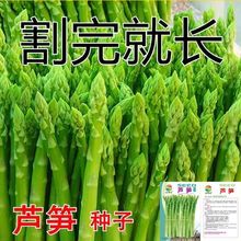 �J�S�N���ļ��Nֲ�߲�֮���M�ھG�J�S�N�ѿ����ͺ��ߠI�B�߲˷N��