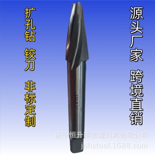 �����q�� �u䓣�����䓣��q�� ���w�Ͻ������q��