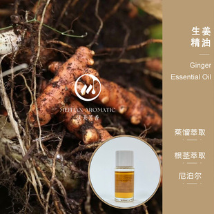 Organic�������� �η�����&middot;�಴�� ���췼��ԭ�����l��Ħ�o�w��