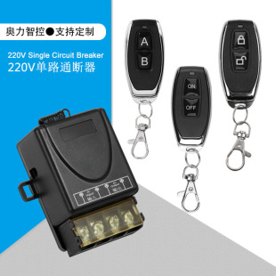 Cross-border 220V wide voltage single remote control switch 433MHz long-distance water pump high-power wireless remote control switch