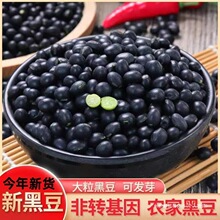 �|���ºڶ��G���r���Ԯa�ڶ��Gɫʳ�ôּZ����s�Z���G����������