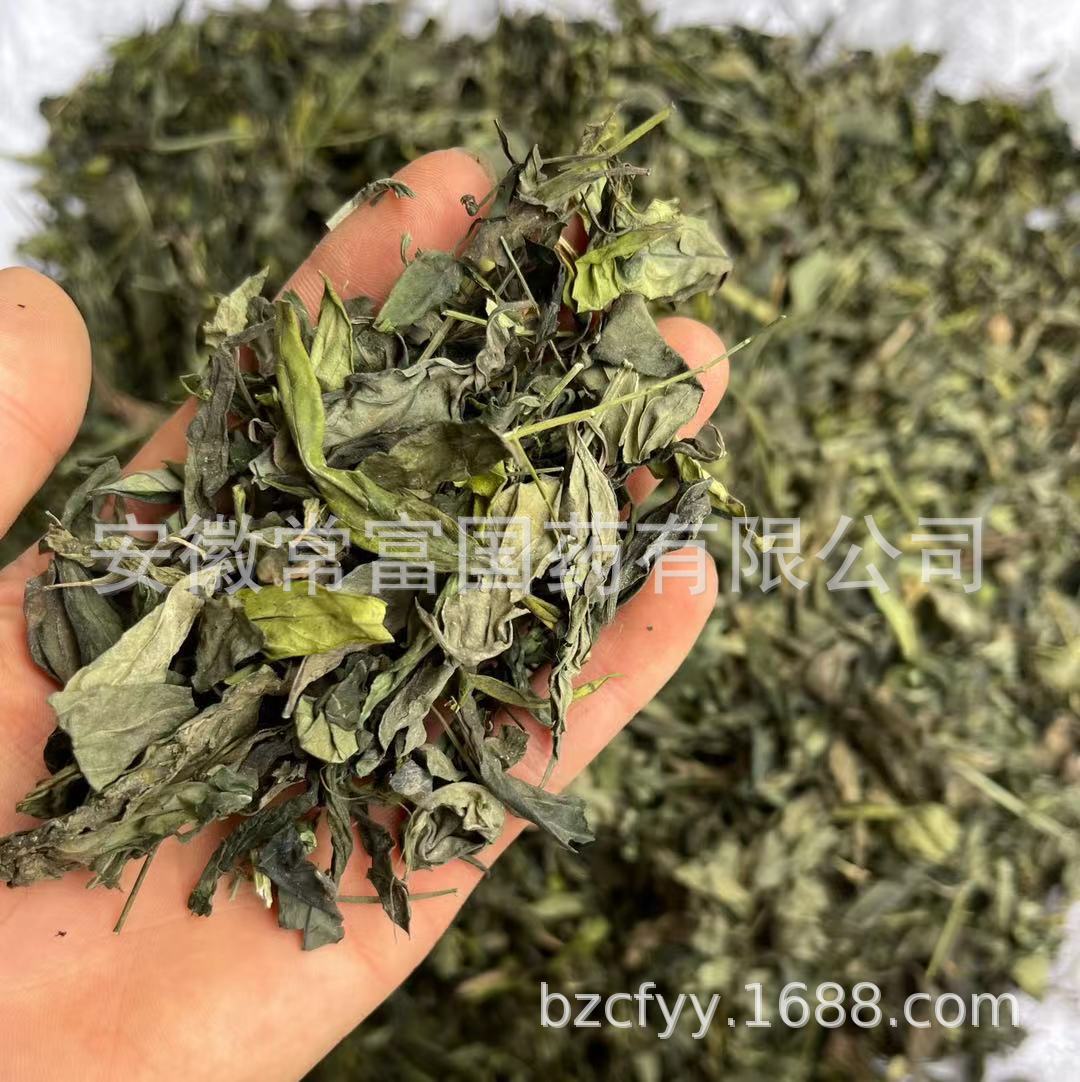 Chuan Xin Lian Andrographis Leaf Dried Herb 500g Bulk Culinary Herbal Supply key features