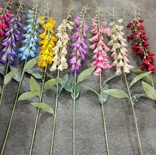 ����ͩ���滨ë���S�ٻ���c��Y·�������������Ĕz�͏d�bٻ�