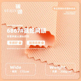 涤氨纶网眼鸟眼布 200g弹力内衣内裤面料 凉感运动服针织面料