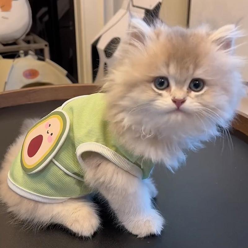 f8451ef1-41c3-40bd-a7b0-99167b55fe77.jpe