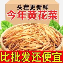 黄花菜新货本色金针菜500g非百合煲汤农家黄花菜干货特产 药辉堂