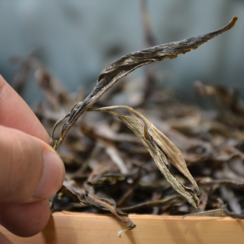 雲南孟海布朗山マンシン龍プーアル茶生茶 春茶プーアル茶葉 プーアル生茶500g