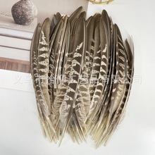 �F؛ĸ�u���u������ë�Ʒ�ֹ������̨�����߶�؈��������ë