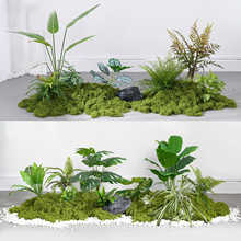 ����Gֲ�쾰�҃ȿ͏d���^�����������D���쾰�b��÷�����ֲ��