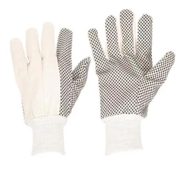 IMG_0428(20221120-120214)