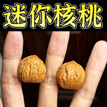 野品小核桃秋子手捻指尖把玩迷你指间文玩尺寸男女手玩批发拿货
