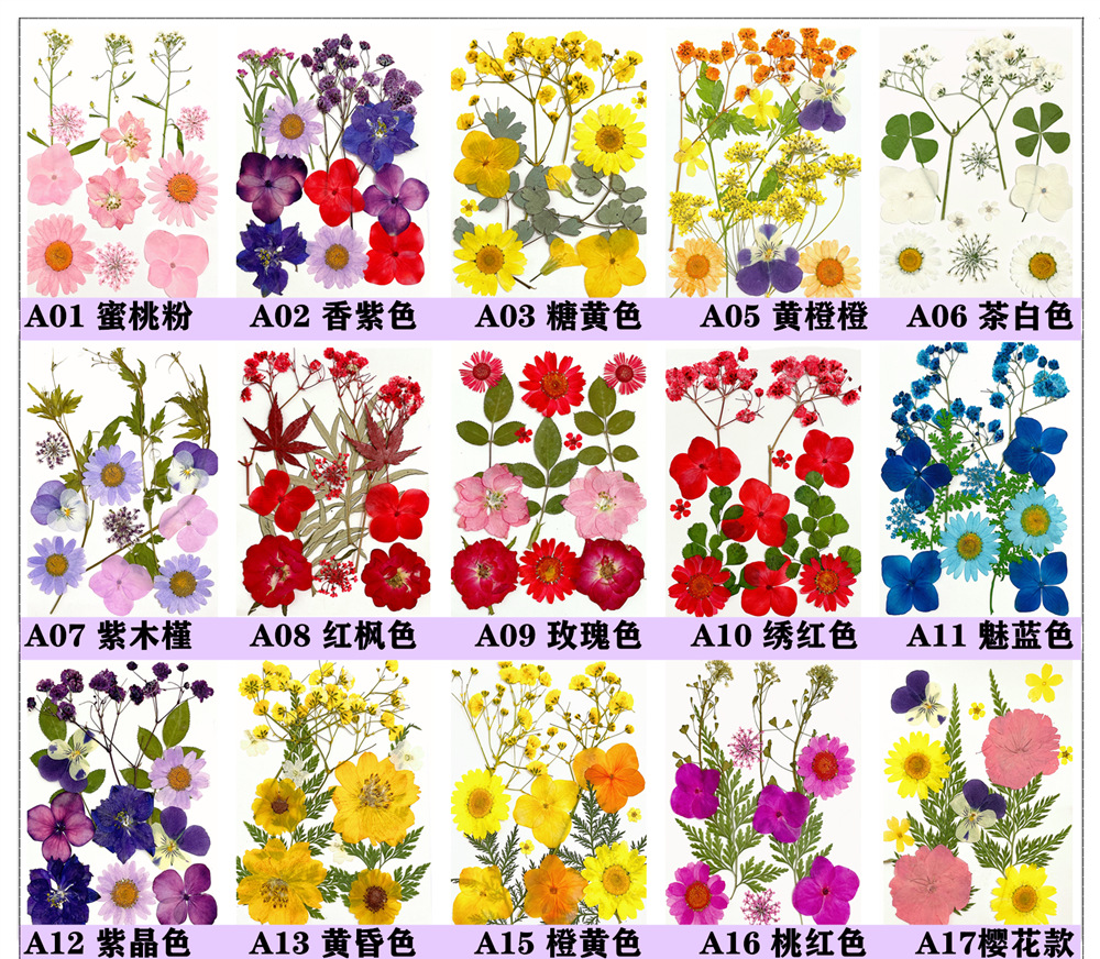 微信图片_20220601173131_副本