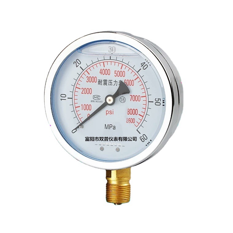 YN100径向耐震压力表 油压/液压/气压/水压标准螺纹M20*1.5