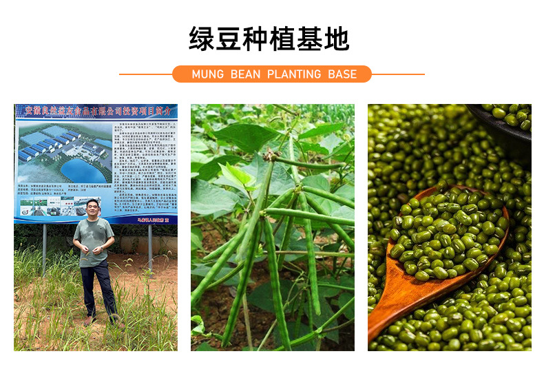 綠豆工廠生產(chǎn)設(shè)備和種植基地詳情頁790_02.jpg
