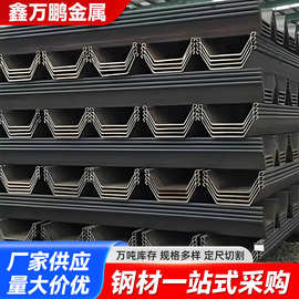 厂家供应U型钢板桩 Z型钢板桩建筑工地挡水用异形钢板桩现货