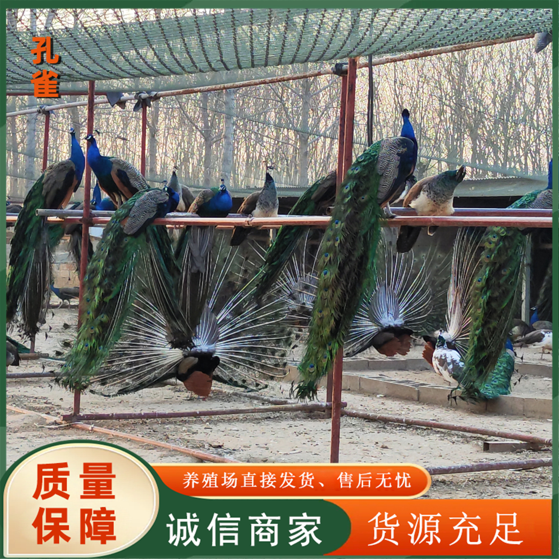 7816e9770f6d3b052daec26e9608c9