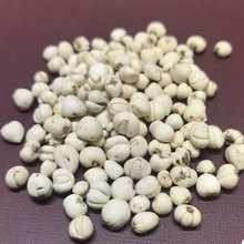 川贝母青贝母松贝野生阿坝川贝母纯野生采摘松贝母产地直销100g