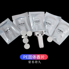 Applicable to Tesla MODEL Air Vent Car Fragrance Clip Holder Adhesive Car Conversion Bracket Connector Aroma Clip