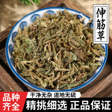 ������ș����Ʒ���؛С���ݷ�Ұ�����_��͸�ǲݵĹ�Ч�c����