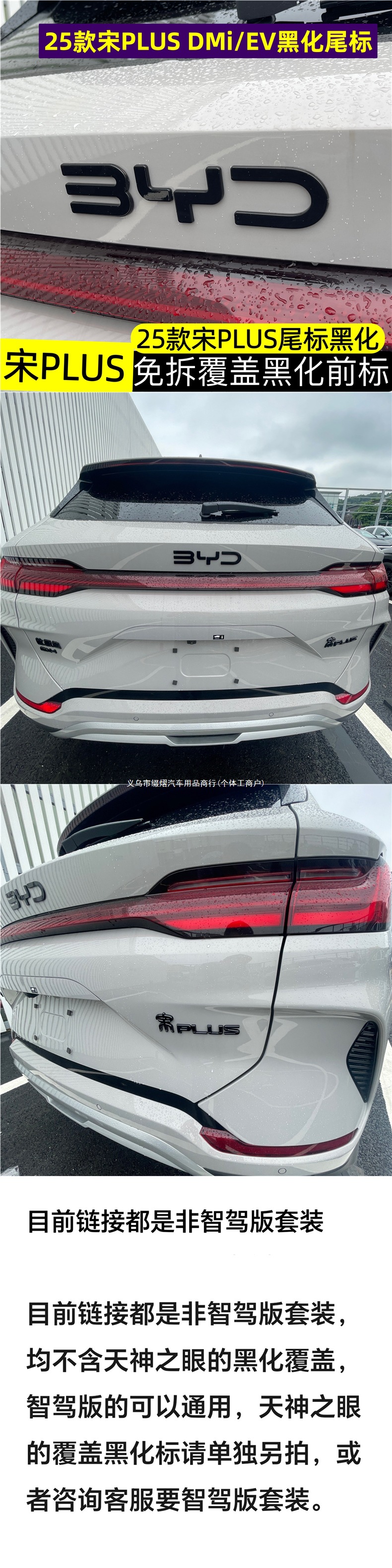 25 styles of front emblems for Song Pro/Song L/Song Plus, non-removable coverings for front emblems, and translucent rear emblems for BYD