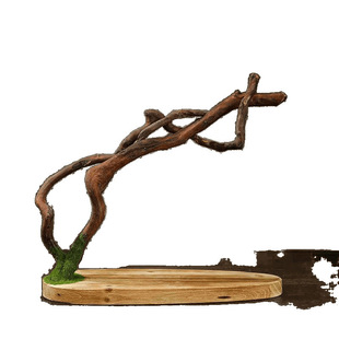 ��Ȼ��ľ����[���L��ľ�������Ҿӿ͏d�b�ˇƷ�U����յ���