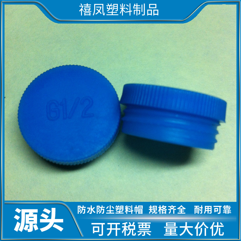 G1/2  塑料螺纹堵头  带螺纹的内塞  防尘堵头  厂家直销价格优惠