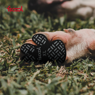 Manufacturer's New Pet Foot Patch Waterproof and Anti-Dirty Dog Shoes Teddy Insole Summer Casual Breathable Pet Dog Shoes
