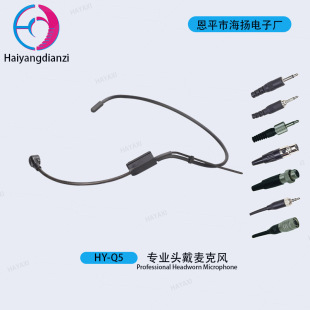 Headset Headset Microphone for Teachers Teaching Speech Microphone Headset Bee Loudspeaker for Speech Meeting
