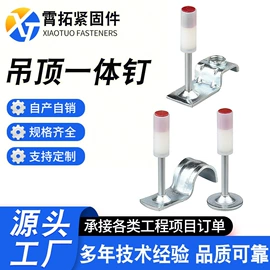 螺栓;螺柱;螺钉