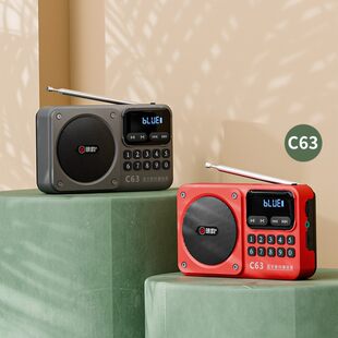 2025 New Langyun C63 Rechargeable Bluetooth Audio Radio C62 Card Digital Player