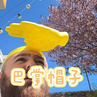 ���ñ����ñ�ӾW�t���ո�ְ���PALM-SHAPEDSUN HAT̫�ñ