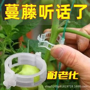 Supporting Vine Fixed Clip, Tying Vine Clip, Fixed Buckle, Upgraded Thickeneded Garden Vine Plant Fixed Climbing Vine Shaping Clip