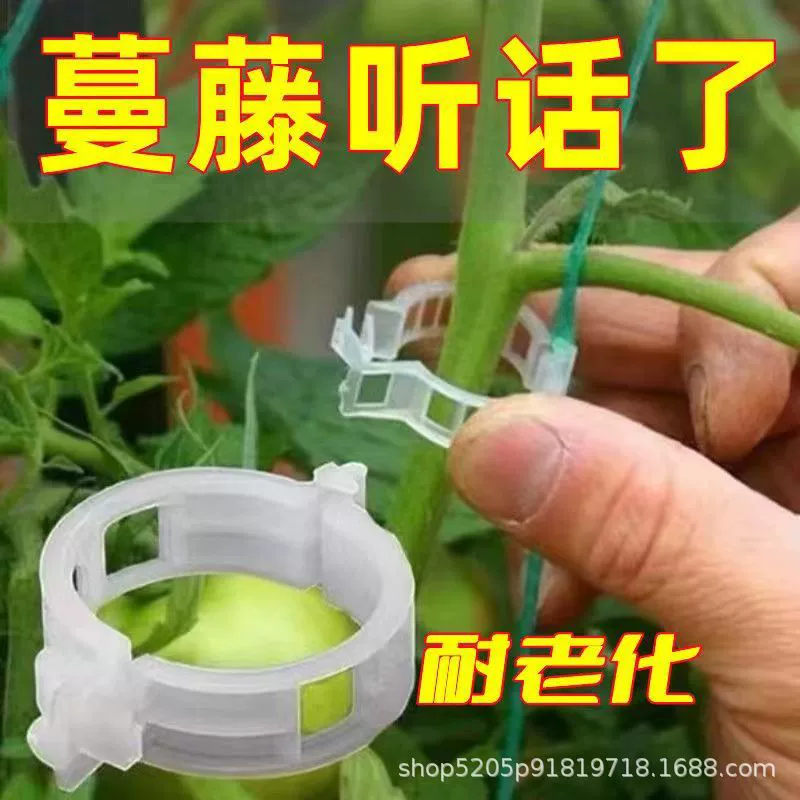 Крепежный зажим для виноградной лозы Крепежный зажим Модернизированный утолщенный садовый виноградный завод Крепление альпинистский зажим для установки виноградной лозы