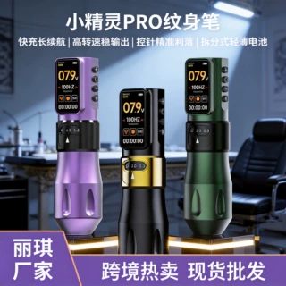 丽琪小精灵Pro版无线纹身电池笔割线打雾纹眉纹绣一体机跨境批发