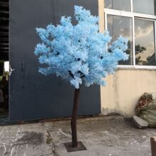 ���涡�㻨���̈��҃ș����b��S�ѻ��侰�c�S����٘�