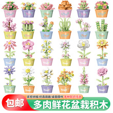 包邮 多肉鲜花积木小颗粒拼装仿真积木花盆栽兼容永生花玩具