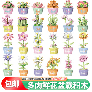 ���] �����r���eľС�w��ƴ�b����eľ�����Լ������������