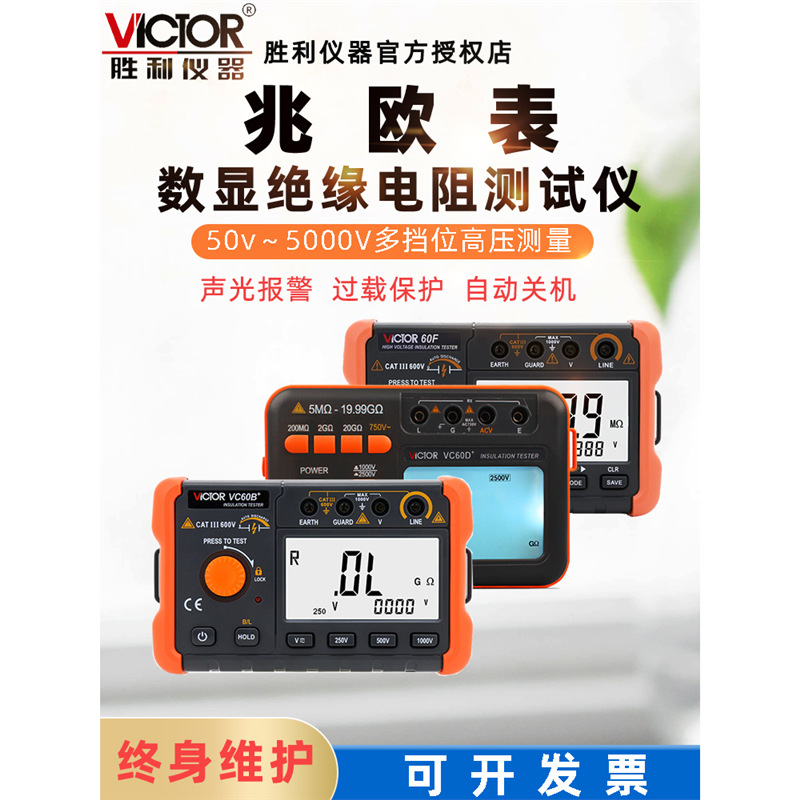 胜利兆欧表VC60B+1000V电子摇表5000V高压电工数显绝缘电阻测试仪