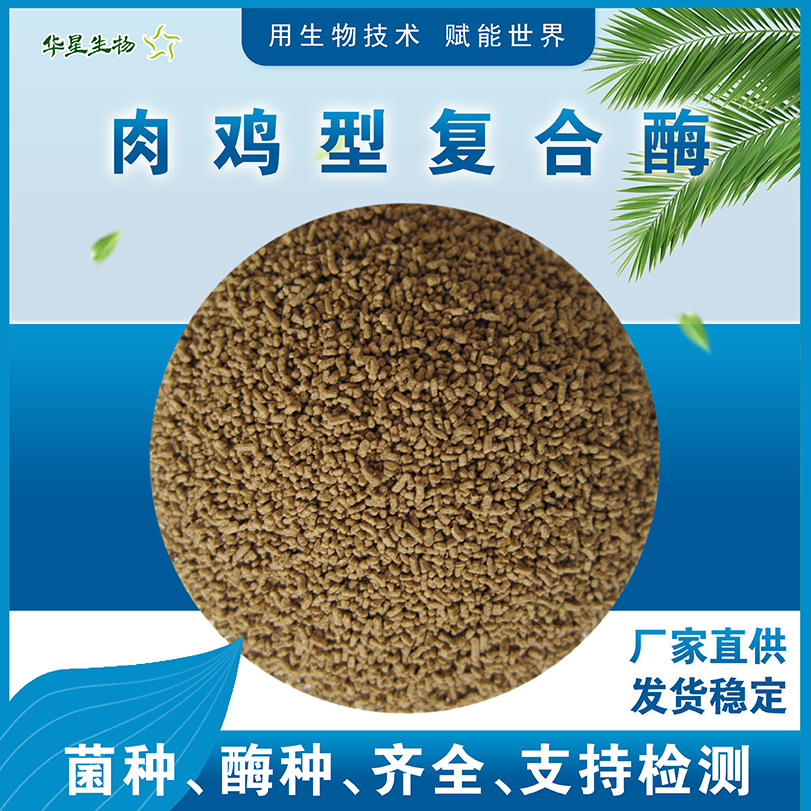 华星生物 肉鸡复合酶 鸡用生物酶制剂 养殖饲用饲料添加剂原粉
