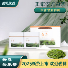 【双11钜惠】2025新茶原产地正宗安吉白茶500g散茶明前高山白茶
