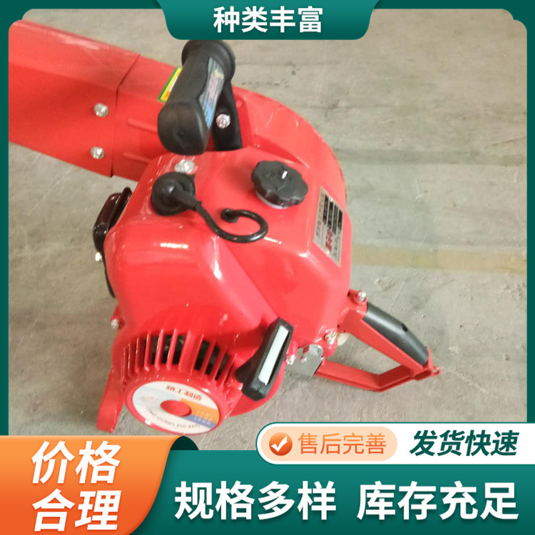 多用途汽油吹风机 市政环卫落叶吹风机 高速公路大风量清扫鼓风机