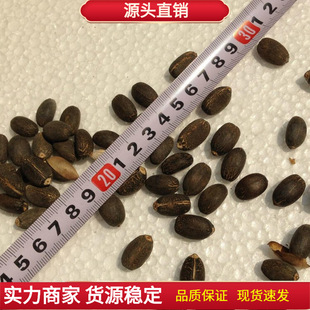 �鯂��N�ӡ����L�䡢����ͩ�����͡�ͩ�͡��^���N����ľֲ��