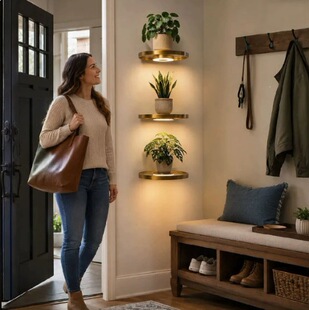 �羳 Floating Plant Shelf with LED Light LED���đҸ�ʽֲ���