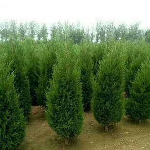 �ؘ����ɰ؂Ȱؘ����؈A���ɘ����،�����������Ĺ�ذؘ��ļ���