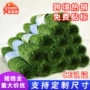 高品质跨境爆款热销草坪