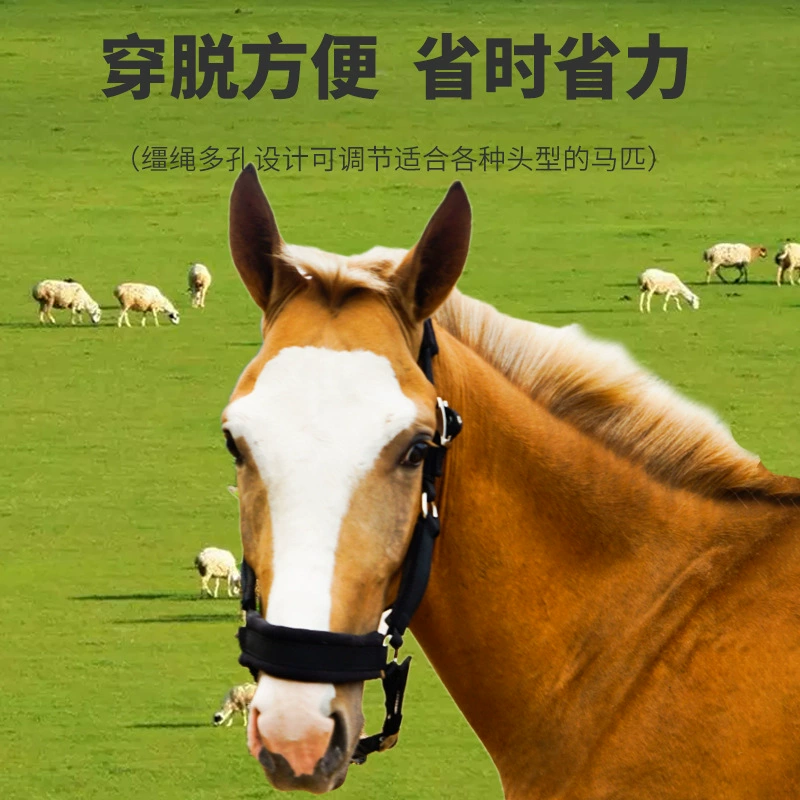 Wear-resistant nylon woven adjustable pony, helmet